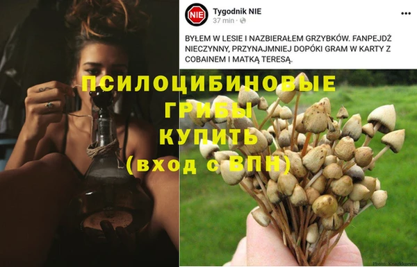 бошки Ростов